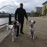 Paul Tarbit (@t5rby1) 's Twitter Profile