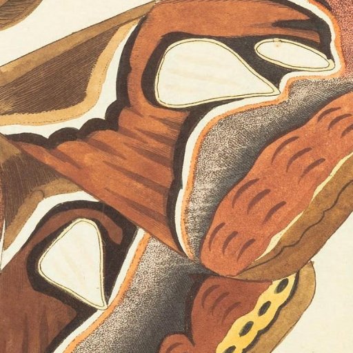 flyacount10's profile picture. #Learn #Understand #Clarity #Focus #Patients #Meditate #Communication