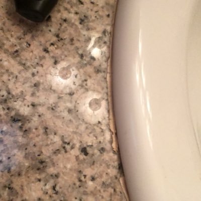 nottheonedude's profile picture. Expecting the world to treat you fairly because you are good is like expecting the bull not to charge because you are a vegetarian. - Dennis Wholey