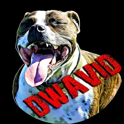 Old time gamer; X-Box Gamertag - Dwavid.
Mental Staffordshire Bull Terrier Owner.
Dog Agility competitor; KC reg - Ditzy Gorgeous Girl