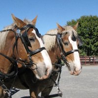 FriendsofFryingPan (@friendsoffpfp) 's Twitter Profile