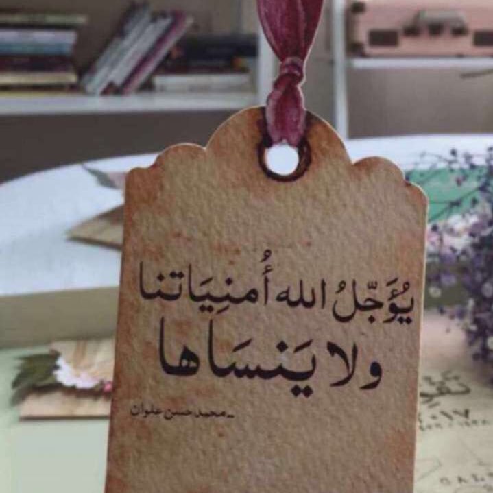 sass321s's profile picture. 