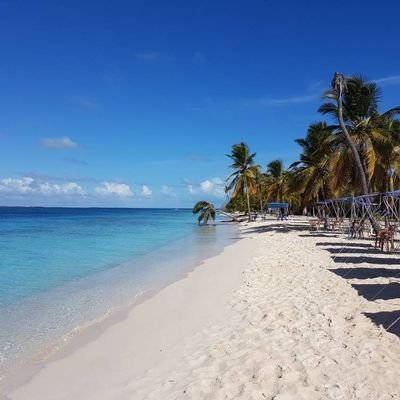 elevig1's profile picture. 