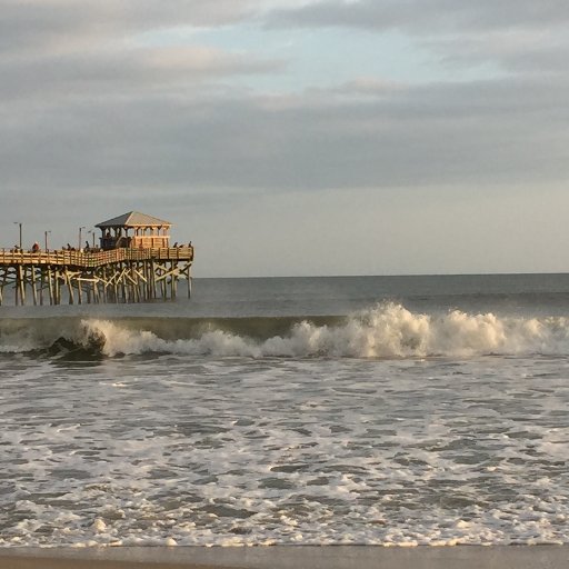 Professor @UNCims, research on water quality, extreme events, shellfish, pathogens, food safety, antibiotic resistance, policy, and all things microbial+water