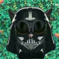 💚 Darth Kitteh🇮🇱(@eloracnasus) 's Twitter Profileg