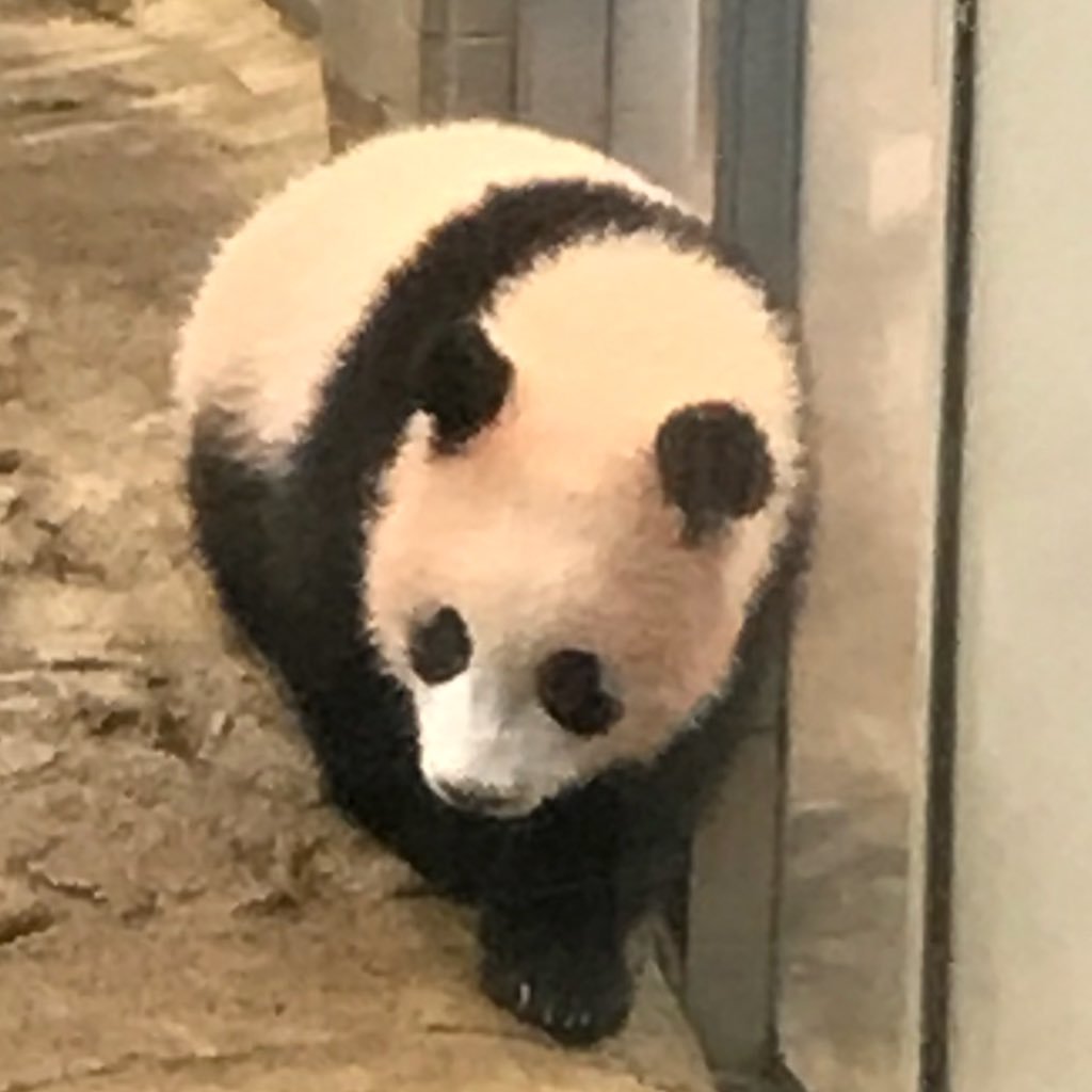 逃げない人さんのプロフィール画像