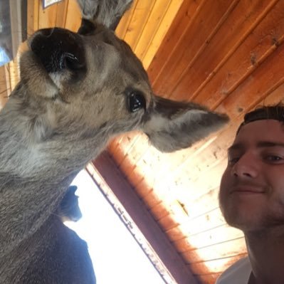 _realdavidwhite's profile picture. Stark Industries