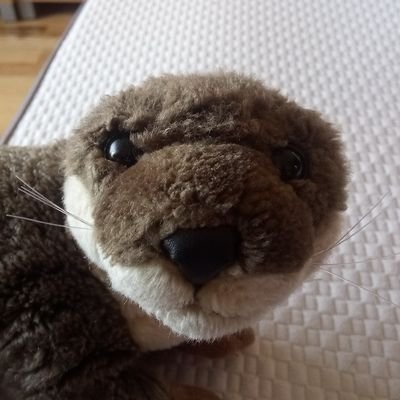 HattieOtter Profile Picture