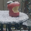 Emma  Oakley - @pettiecoatlane - Twitter