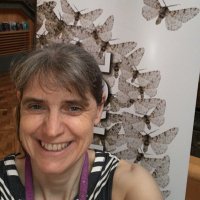 Anna Bunney (@museummeets) 's Twitter Profile Photo Anna Bunney (@museummeets) 's Twitter Profile Photo