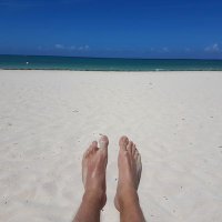 Mr R (@northerntangent) 's Twitter Profile Photo