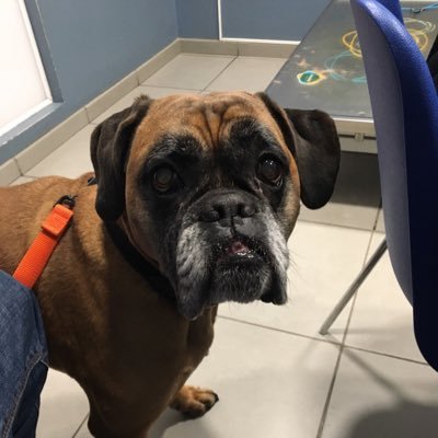 chalimont's profile picture. #communication #collectivitéterritoriale #servicepublic