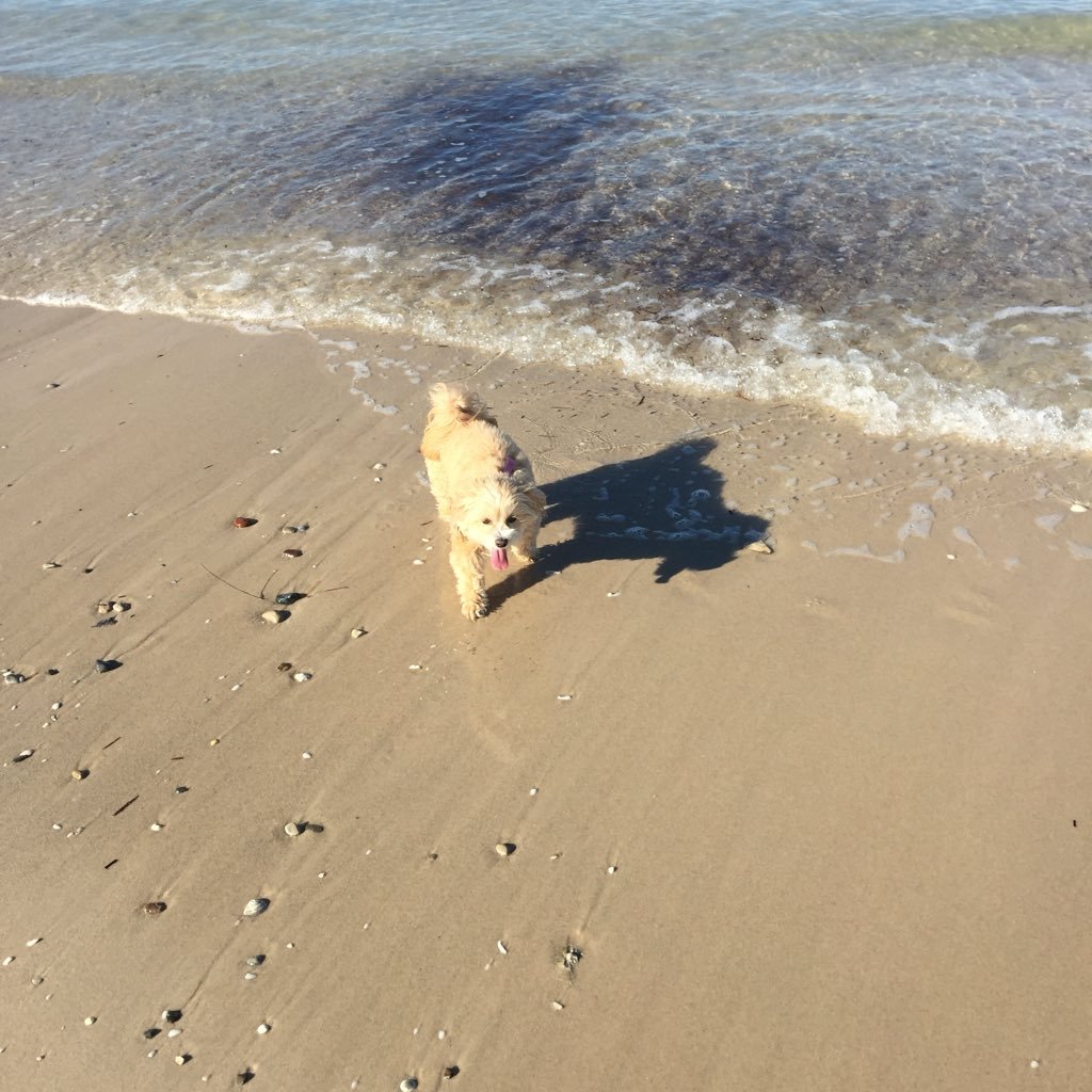 klr_01's profile picture. 