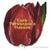 CADeMarzo (@cademarzo) Twitter profile photo CADeMarzo (@cademarzo) Twitter profile photo