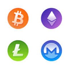 NutCrypto's profile picture. 