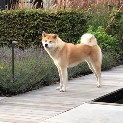 EAvonts1's profile picture. 