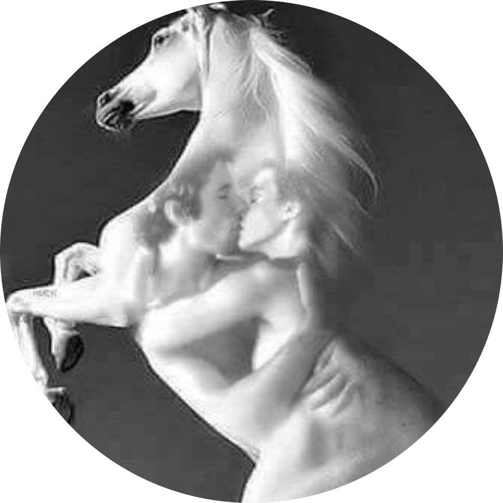 Sasuki16093315's profile picture. 