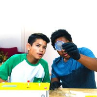 Amino Labs (@aminobiolab) 's Twitter Profile