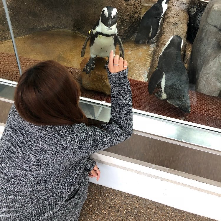 何気ない日常に花束を