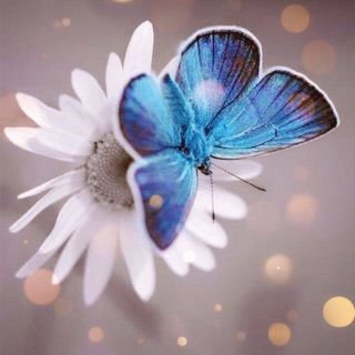 samar7492's profile picture. 