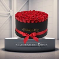 Symphonie Des Roses(@SymphonieRoses) 's Twitter Profile Photo