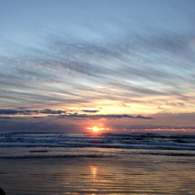 Ryuzy_555's profile picture. 株と馬