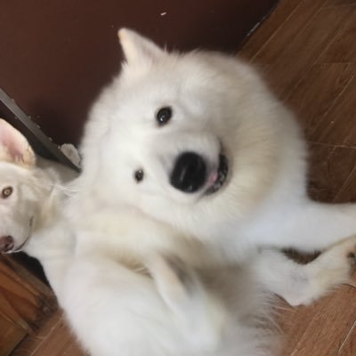 ad268888's profile picture. 