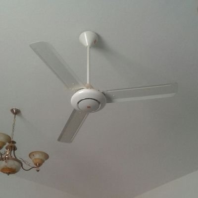 nGtV6FribBsSqX9's profile picture. 