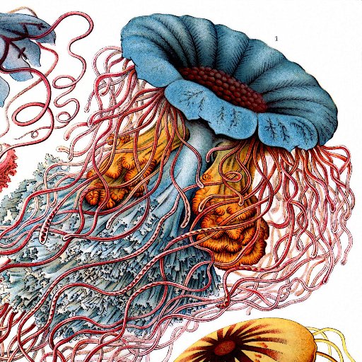 bortff's profile picture. 