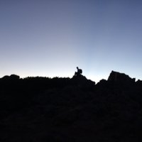 hamoto (@itg46pvn) 's Twitter Profile