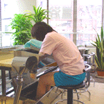 rurudo201's profile picture. 千葉市でゲルマニウム温浴サロンを経営しています。ゲルマニウム温浴水に有用微生物ジザニア菌を加えたジザニア温浴（酵素温浴）を採用しています。自然性植物質製品を使用することで化学薬剤を使わないより清潔で安全なナチュラルデトックスをお楽しみください。尚、感染症予防を徹底しております。免疫力向上にお役立て下さい。