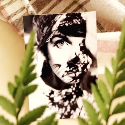 mn9074's profile picture. منذ عرفتك وَ أَنآ أُتَمتِم بِ نِصف عَقل وَ جُنونٌ تَآم ،.  بكالوريوس لغة إنجليزية ..