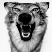 ano (@pyapyu2) 's Twitter Profile Photo