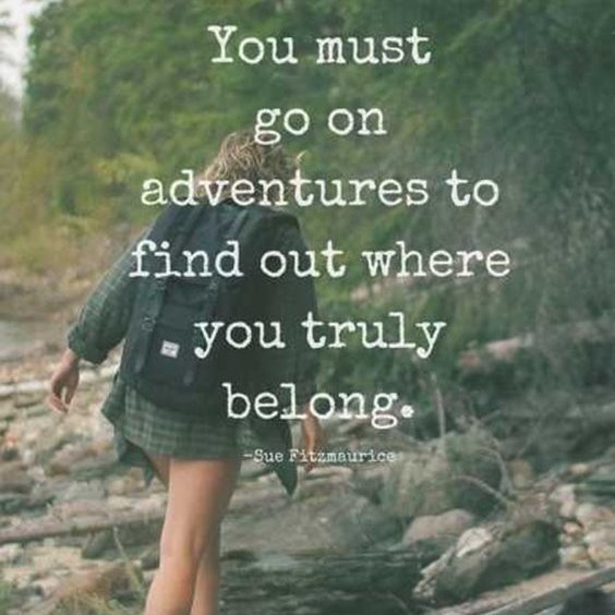 lex_micormic16's profile picture. I am a  anxious  , personalty type , twitch watching,  weirdo.  Renaissance Person , etc