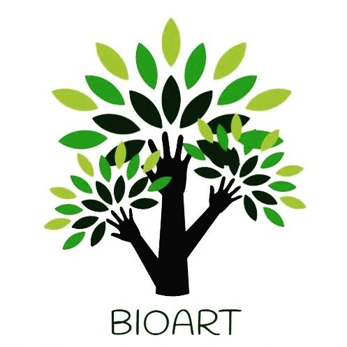 BioArt La ARTEsanía, el mediambiente y la justicia social unidas de la mano.
(Proyecto de clase)