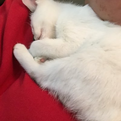 Woodywoody90's profile picture. Loyalty and Love💗 叫我大王 #なんぺfans #なんきんペッパー #反田葉月 #QueenCL #片桐えりりか #蒼井空 #宮沢ゆかり #あべみかこ #榮川乃亜 #枢木あおい #高杉麻里 質問箱：https://t.co/jq6pV3LZVO