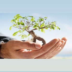 FootballindexT's profile picture. Football Index Tipster! we will reply to everyone!