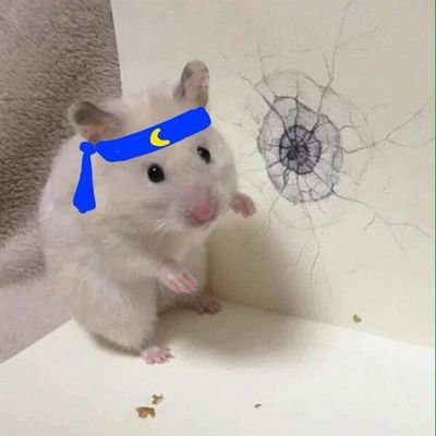 flymetothatmoon's profile picture. 더불어민주당 권리당원💙이니이니💙※욕주의※
Puppet hater, an animal lover, a nature lover, have taste for cooking! I love my President Moon🌓😍