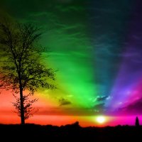 plnbsr (@plnayse) 's Twitter Profile