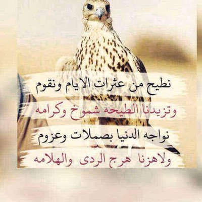 لستُ مجبوراً أن أمنح الأخرين نبذة تعريفية عني ليعرفوا من أنا لكنني هنا أضع حروفي ولغة أحساسي ومن خلالها أتعامل مع كل شخص بحسب إحساسه