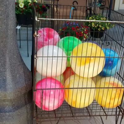 oldaccountVR's profile picture. 