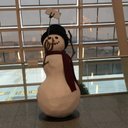 Carol Pickering - @Cabba_p - Twitter