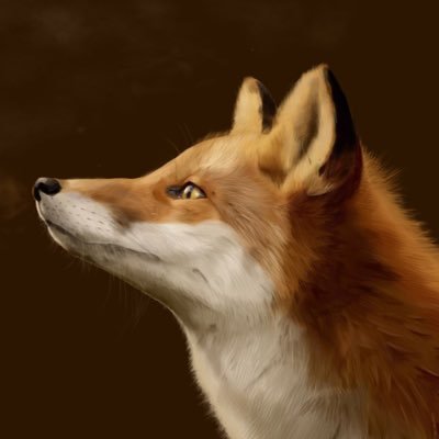 shrktnbyk's profile picture. 3D Animator