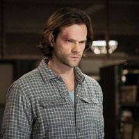 𝘚𝘢𝘮𝘮𝘺 (Hiatus) (@moosewithnoshoe) 's Twitter Profile