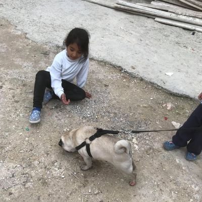 imadajaj1's profile picture. 