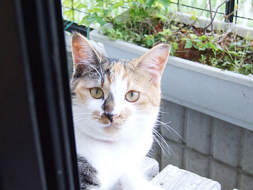 monsexcelsus's profile picture. 