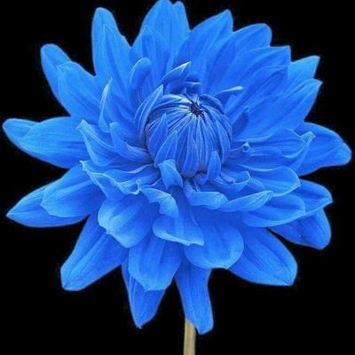 NaveedS66831811's profile picture. Yousuf.shah