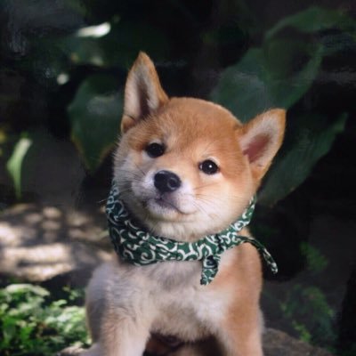 karasumamondo's profile picture. 