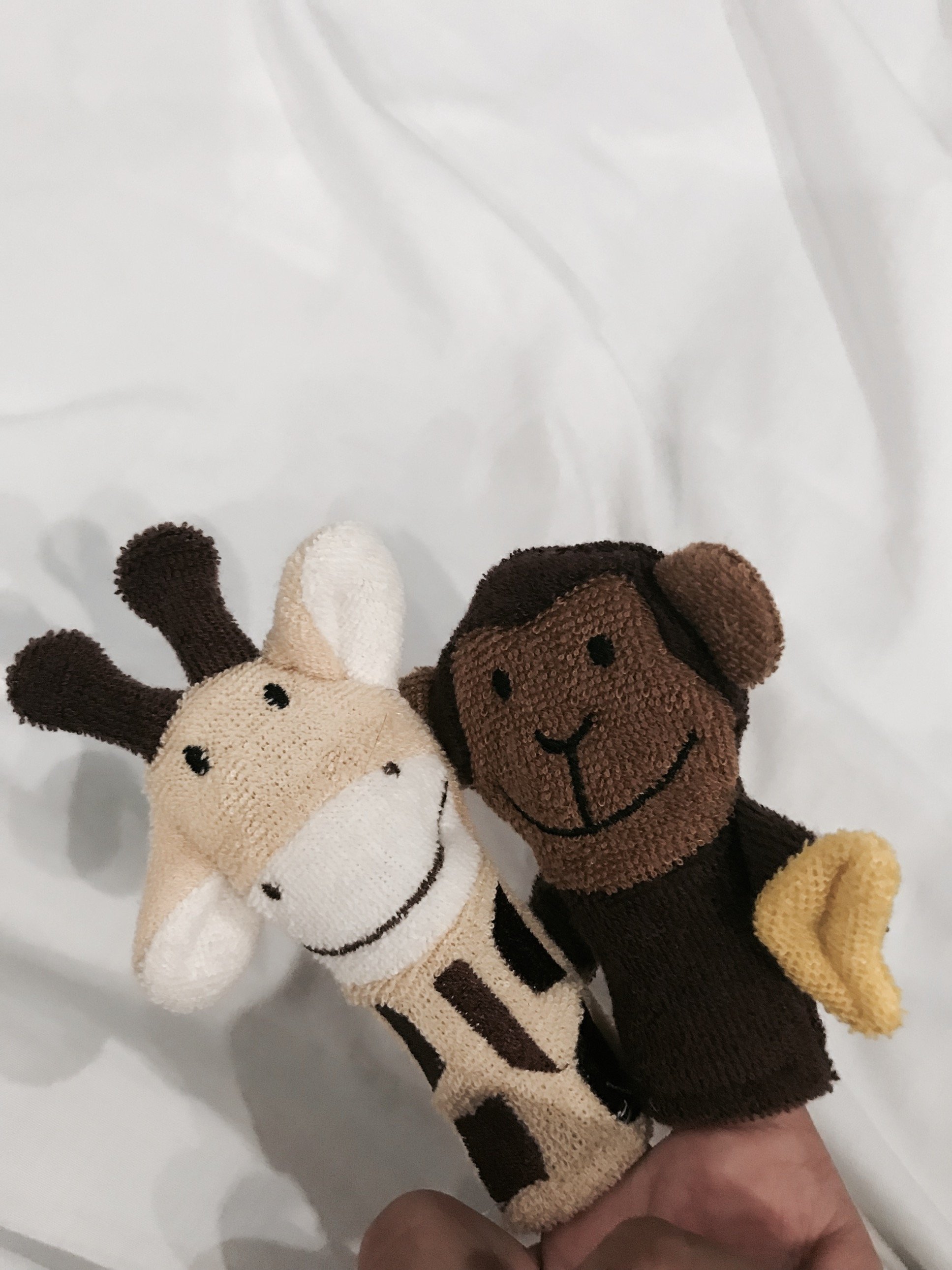 yeynoi's profile picture. 