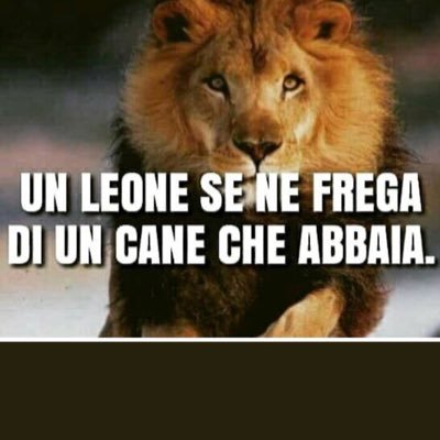 Lorenzo Stovini Lorenzostovini Twitter Lorenzo Stovini Lorenzostovini Twitter